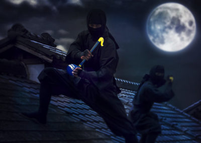 Ninjatone